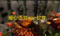 暖心语音app软件